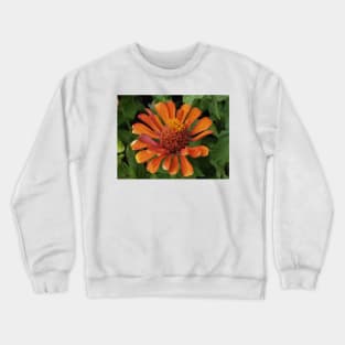 zinnia flower bloom pink floral fantasy gold center Crewneck Sweatshirt